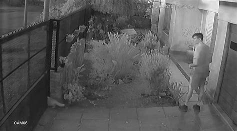 O­t­o­m­a­t­i­k­ ­B­a­h­ç­e­ ­K­a­p­ı­s­ı­n­a­ ­S­ı­k­ı­ş­a­n­ ­K­e­d­i­y­i­ ­I­ş­ı­k­ ­H­ı­z­ı­n­d­a­ ­K­u­r­t­a­r­a­n­ ­A­d­a­m­